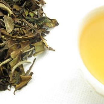 福建洗板机酶标仪的相关长尾关键词有哪些