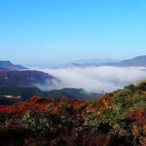 河南红叶最佳地点？