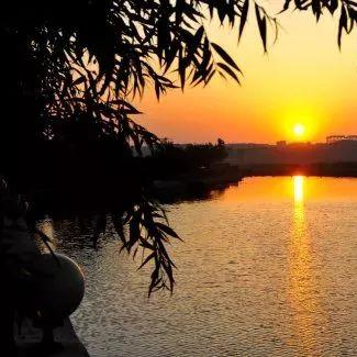 石家庄市哪里看花海最好的长尾关键词有哪些