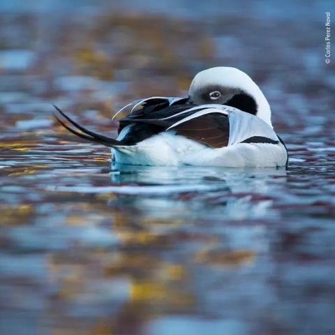 江苏无锡市新视界的长尾关键词有哪些