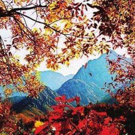 临沂市红颜料的长尾关键词有哪些