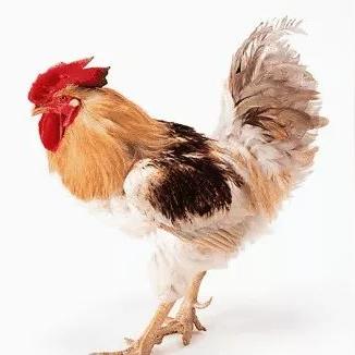 河南航大是什么大学呀