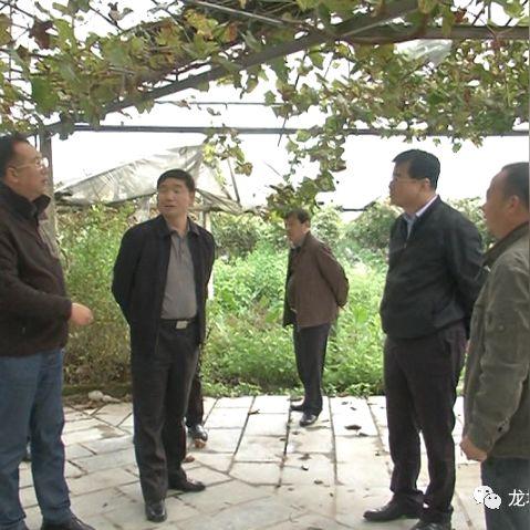 桂林市杨氏理疗馆怎么样