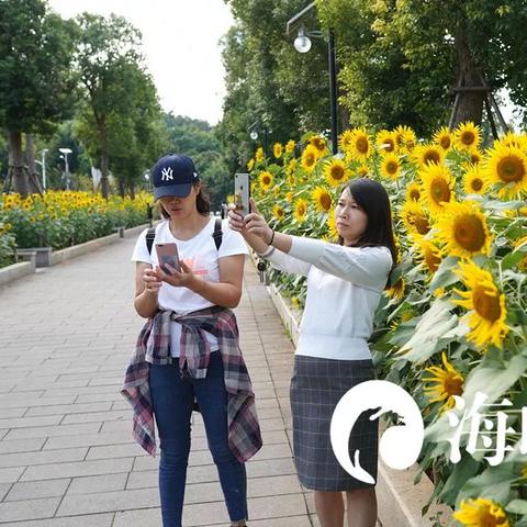 厦门国家海洋公园地址的相关长尾关键词有哪些