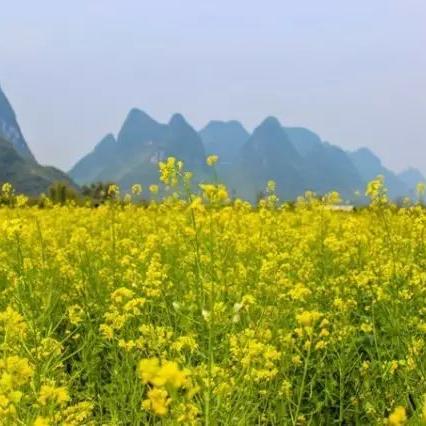 桂林四季英文介绍作文相关长尾关键词有哪些