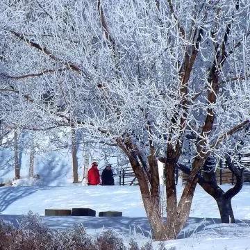 桂林市冬装店有哪些品牌
