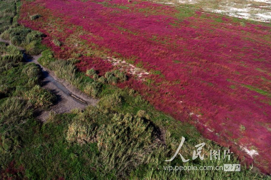 洪泽湖在哪个省哪个市(江苏扬州洪泽湖经济发达吗)