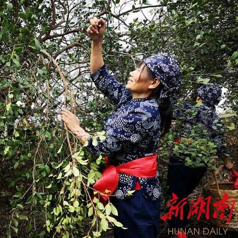 长沙到浏阳市镇头镇怎么走?急？