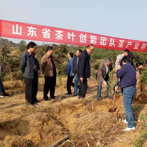 临沂市费县领导名单照片的长尾关键词有什么
