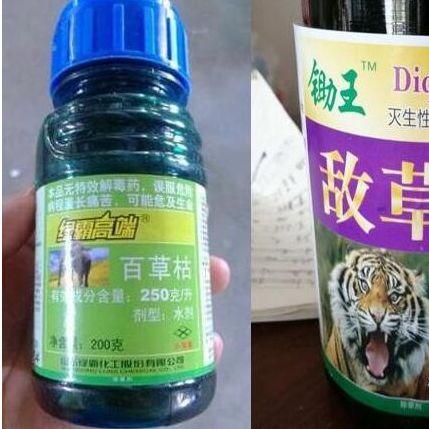 为什么很多误食百草枯的病人跨越千里也要去山东齐鲁医院治疗？