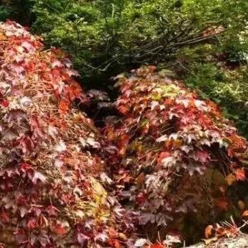 临沂市环保局形象的长尾关键词有哪些