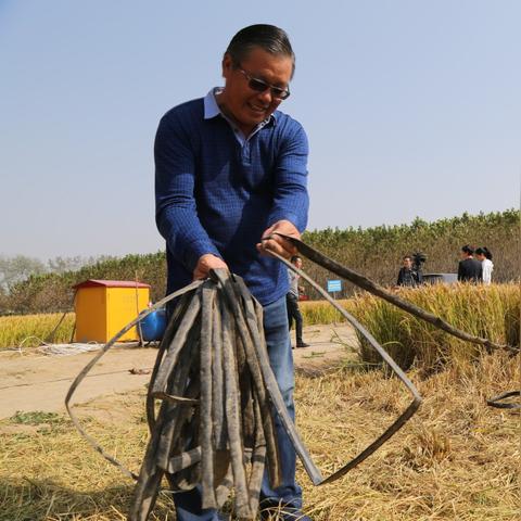 周口市肥料问题的长尾关键词有什么