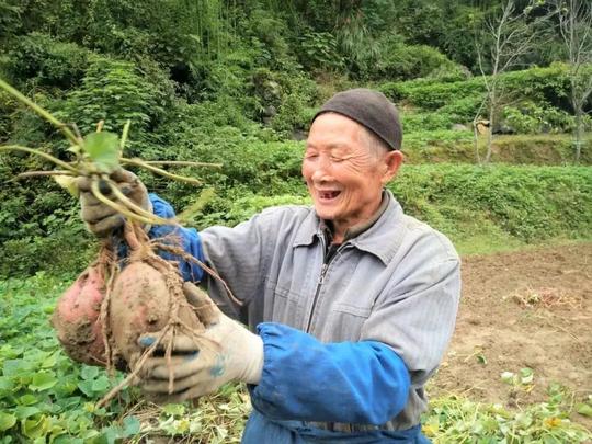 「脱贫攻坚·夏秋攻势」思南：春晖人士返乡创业带领百姓增收致富