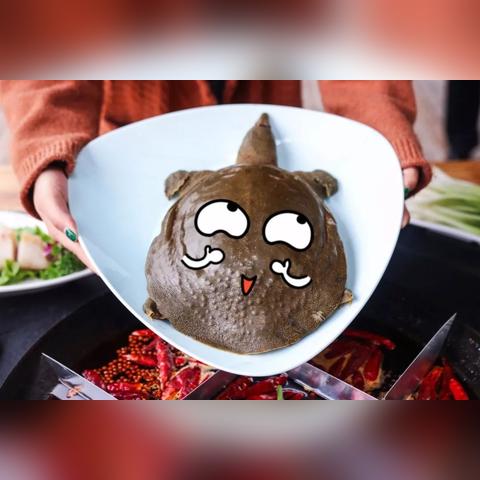 成都市火锅旗舰店地址的长尾关键词有什么