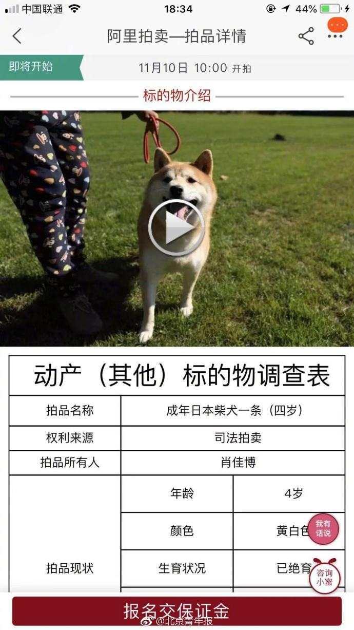 日本純音樂bgm登登登登登_每天吃水煮蔬菜能減肥嗎 運營百科