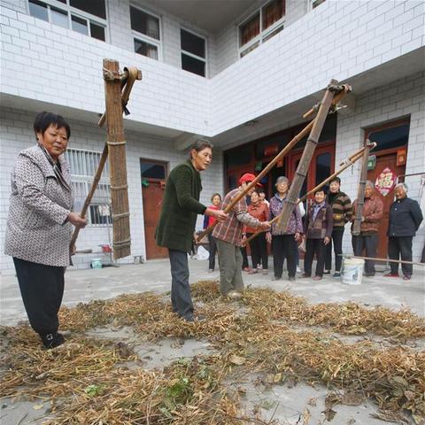 南通市黄豆多少钱一斤