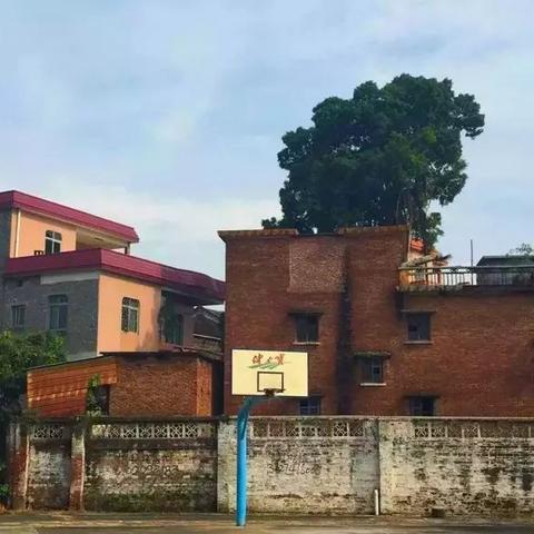 广东省佛山市三水区室内篮球场的长尾关键词有哪些