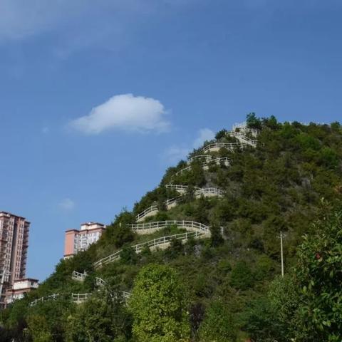 重庆大学城后山出租的长尾关键词有什么