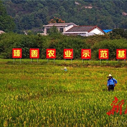 长沙市新村有什么变化