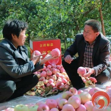 大连市富士庄园怎么样啊