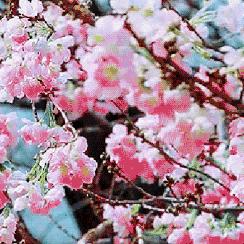 厦门旅游年卡怎么办理的相关长尾关键词有哪些