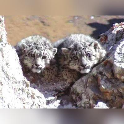 成都市北边有哪些地方