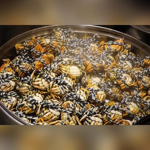 重庆国贸中心哪个学校好