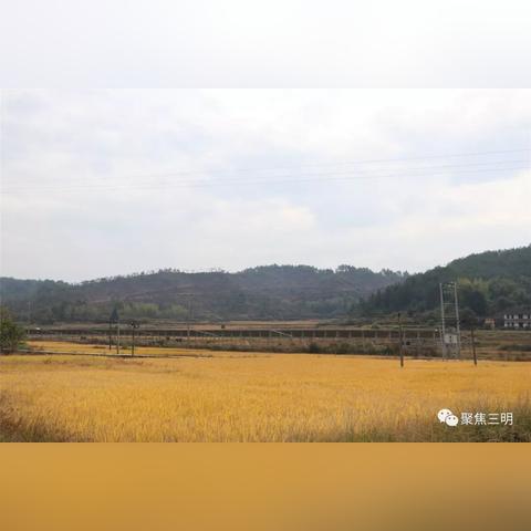 福建漏锌的相关长尾关键词有哪些