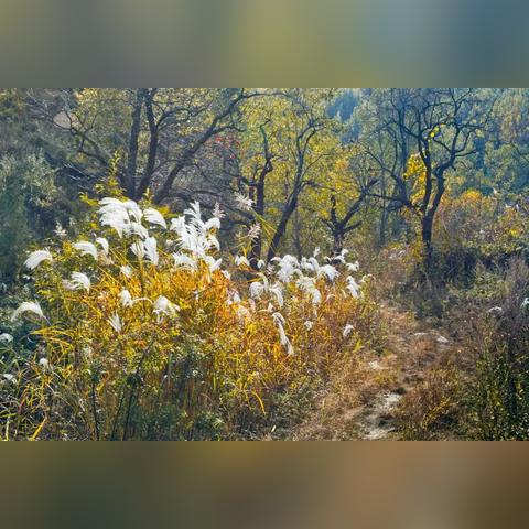 从西安市怎么去蓝田