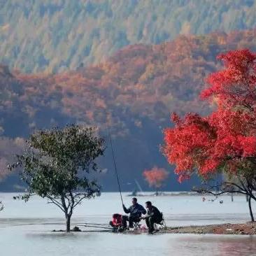 沈阳到九寨沟旅游相关长尾关键词有哪些