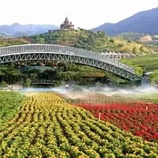 大连到上海特价的相关长尾关键词有哪些