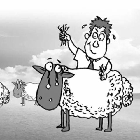 跨境电商平台客单特色的相关长尾关键词有什么