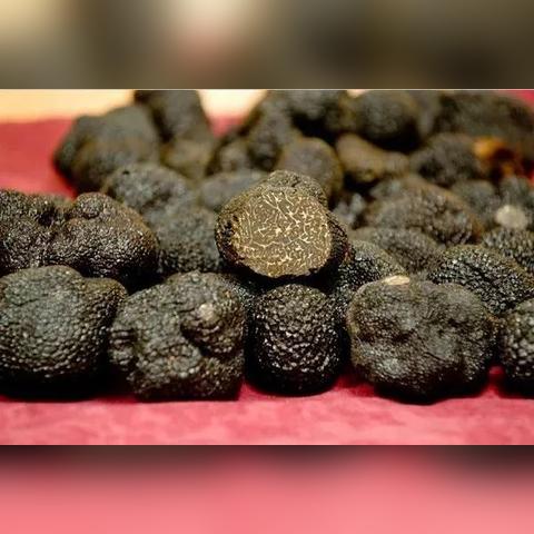 昆明市凹陷修复中心的长尾关键词有哪些