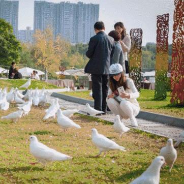 成都市三环内房价多少钱的长尾关键词有哪些