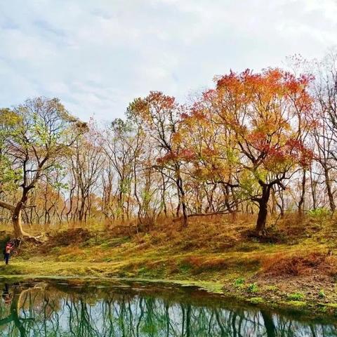 桂林市夏季小学放假多久