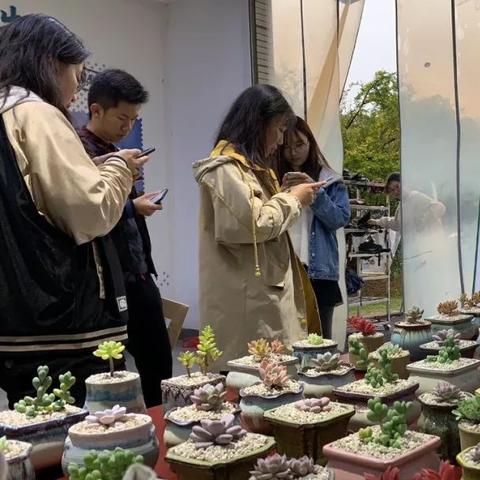 无锡市邮政招标公告的长尾关键词有什么