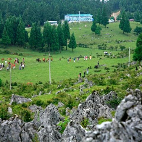 呼伦贝尔跟重庆哪个大