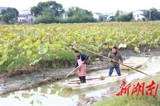 既创业比赛又不忘扶贫2018长沙科技创新创业大赛比出新意
