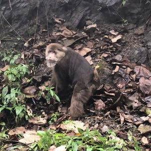 成都市区十年老店有哪些