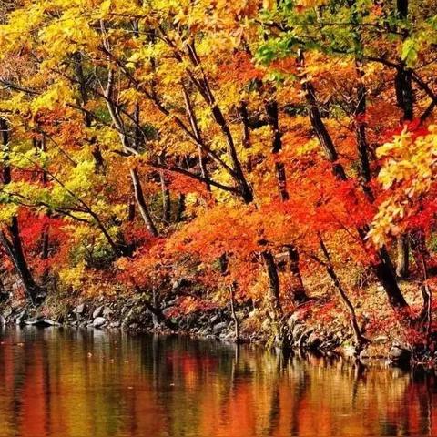 大连九寨镇的相关长尾关键词有哪些