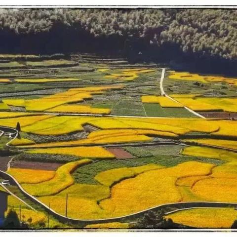 温州市动物园在哪里啊