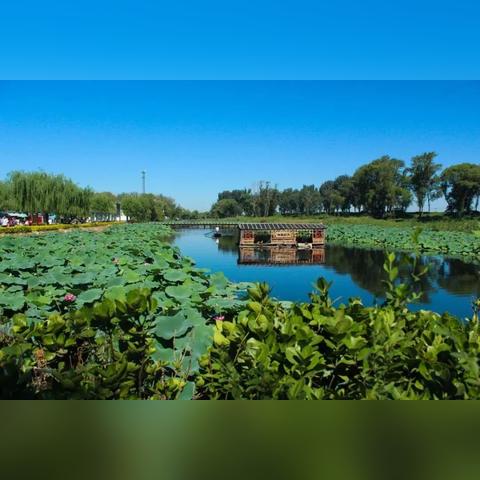 河北省保定市安新县明珠的长尾关键词有什么