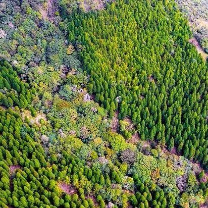 菏泽市牡丹区朝才养殖场的长尾关键词有什么