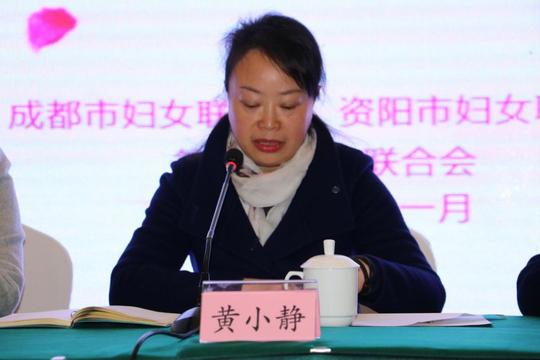 成资巾帼齐聚简阳创业创新共谋发展