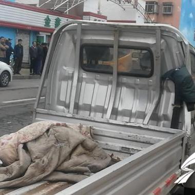 济南梁府车祸相关长尾关键词有哪些