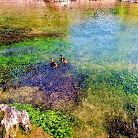 桂林南站至昆明北站动车相关长尾关键词有哪些