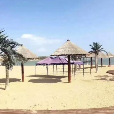 大连市哪个海滩好耍一点