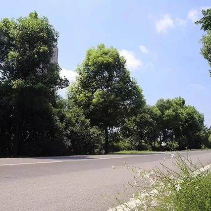 武汉市硚口区月湖桥下有什么