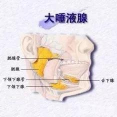 杭州市一牙科怎么样