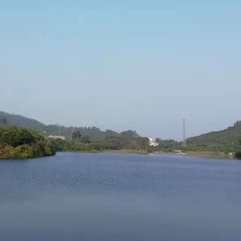 东莞市用电怎么收费